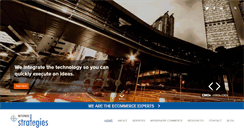 Desktop Screenshot of netspherestrategies.com